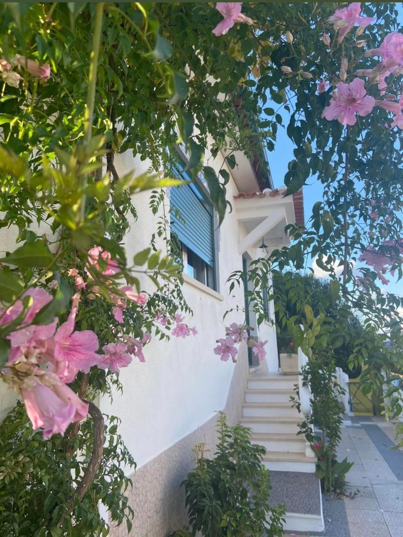 Hostal Casa de Azzancha Azinhaga Exterior foto